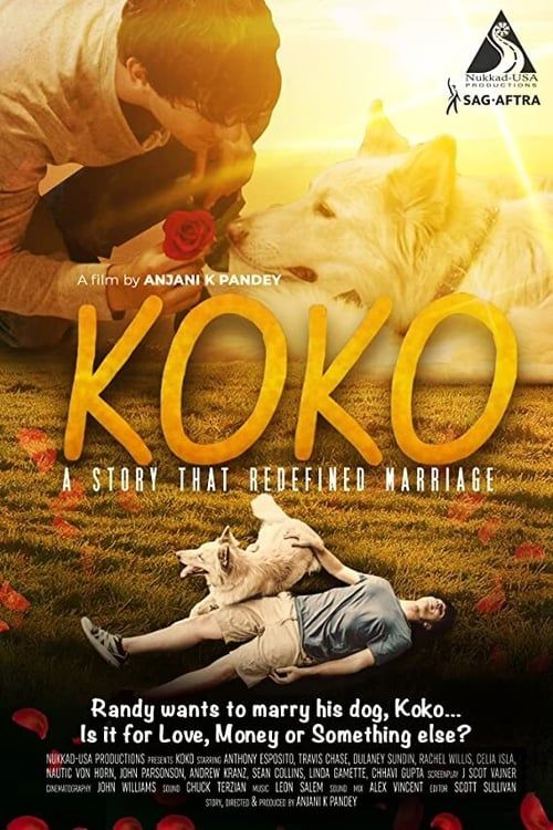 Key visual of Koko