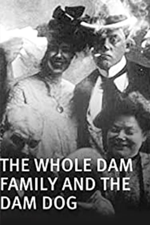Key visual of I.B. Dam and the Whole Dam Family