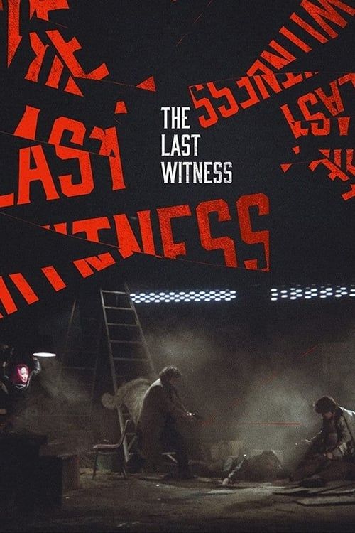 Key visual of The Last Witness