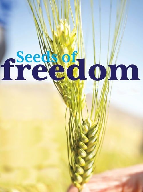 Key visual of Seeds of Freedom