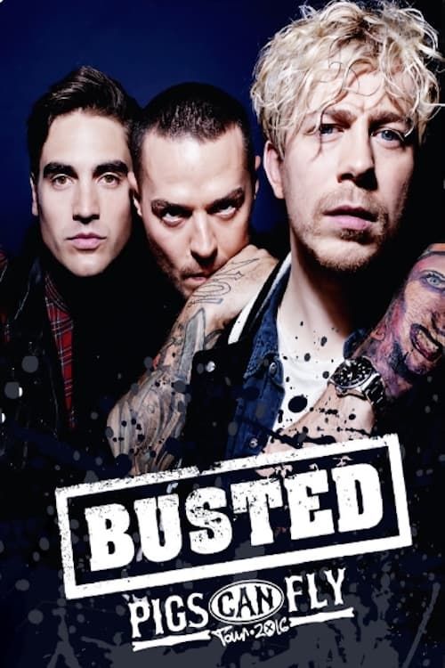 Key visual of Busted: Pigs Can Fly Tour 2016