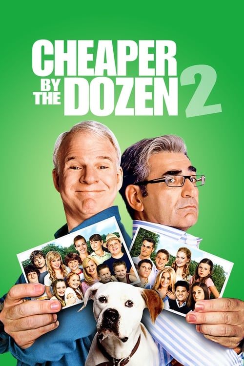 Key visual of Cheaper by the Dozen 2