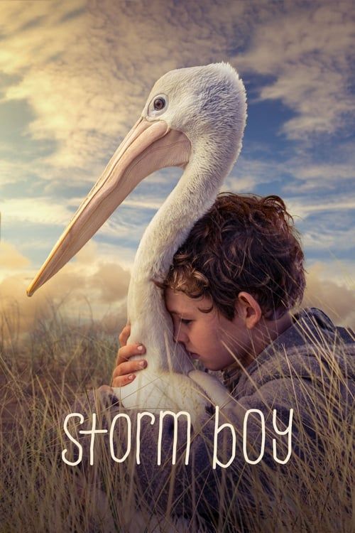 Key visual of Storm Boy