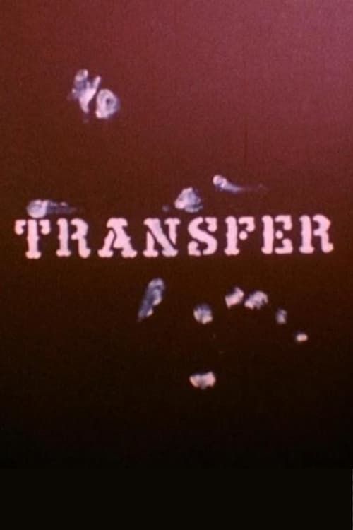 Key visual of Transfer