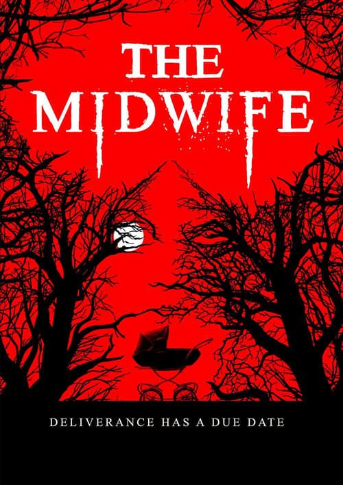 Key visual of The Midwife
