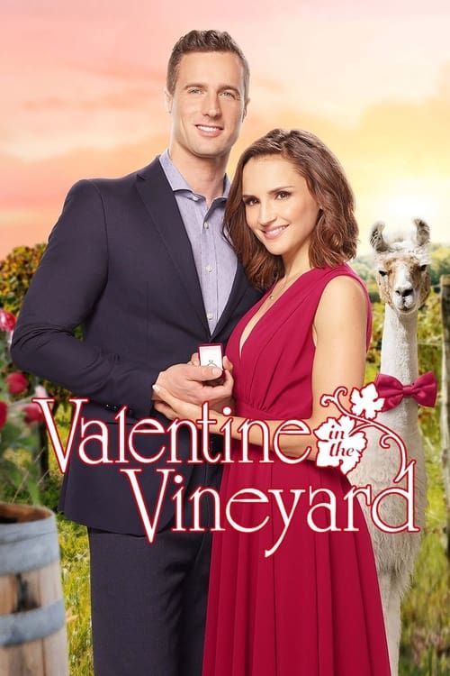 Key visual of Valentine in the Vineyard
