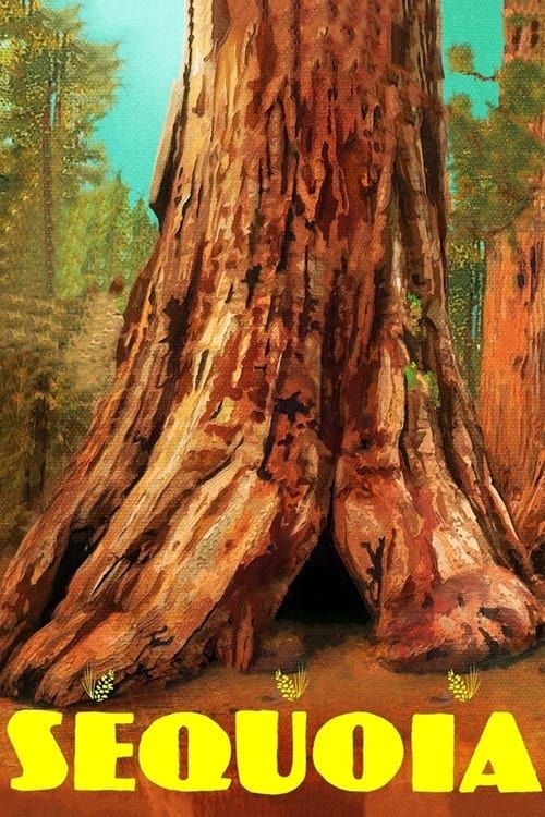 Key visual of Sequoia