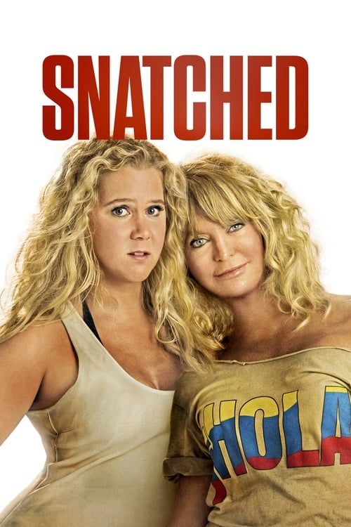 Key visual of Snatched