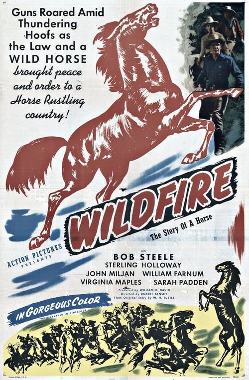 Key visual of Wildfire