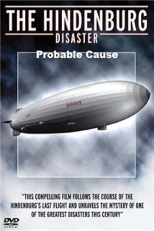 Key visual of Hindenburg Disaster: Probable Cause
