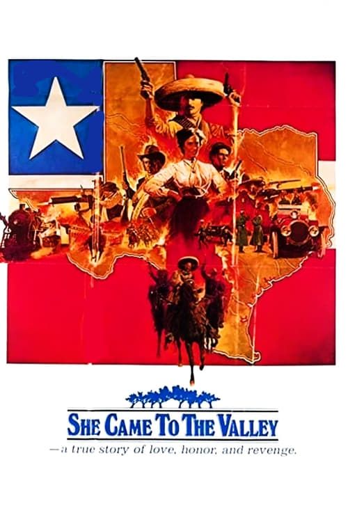 Key visual of She Came To The Valley