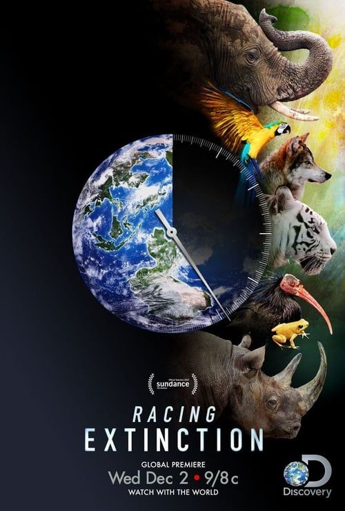 Key visual of Racing Extinction