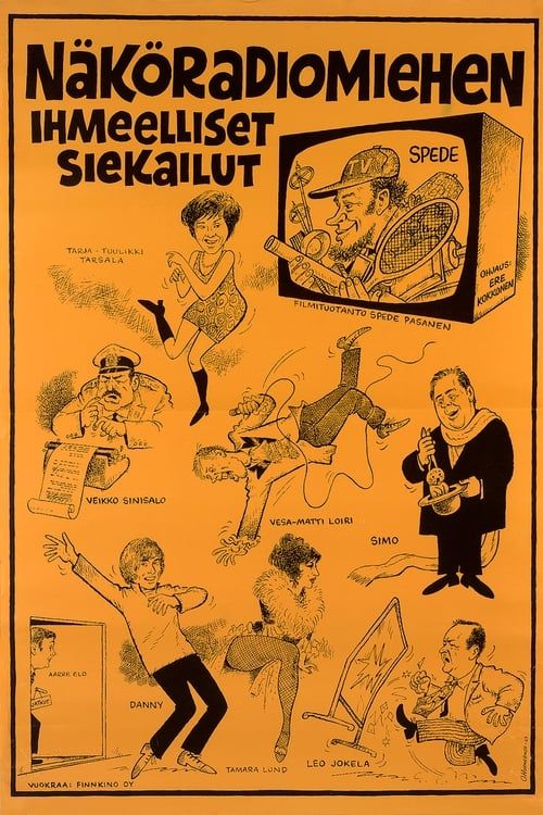 Key visual of Näköradiomiehen ihmeelliset siekailut