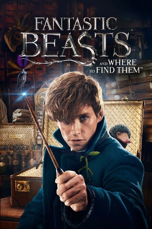 Key visual of Fantastic Beasts and Where to Find Them