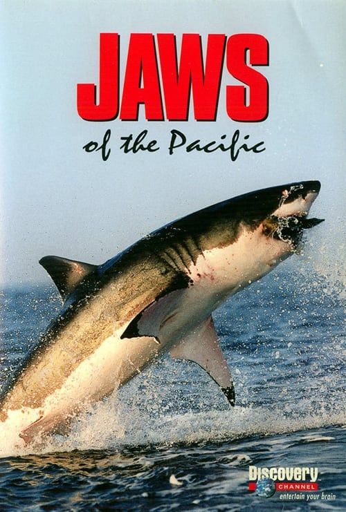 Key visual of Jaws of the Pacific