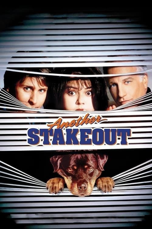 Key visual of Another Stakeout