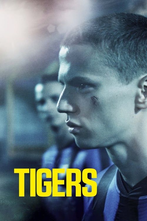 Key visual of Tigers