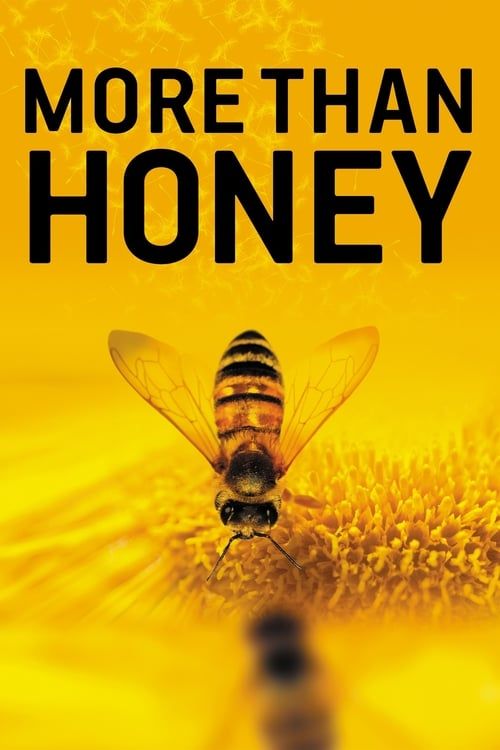 Key visual of More Than Honey