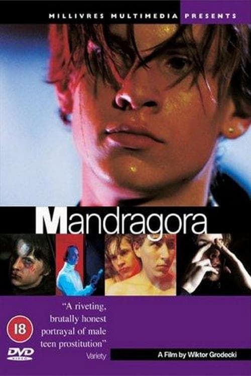 Key visual of Mandragora
