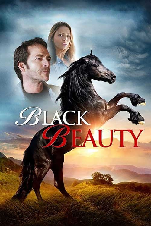 Key visual of Black Beauty