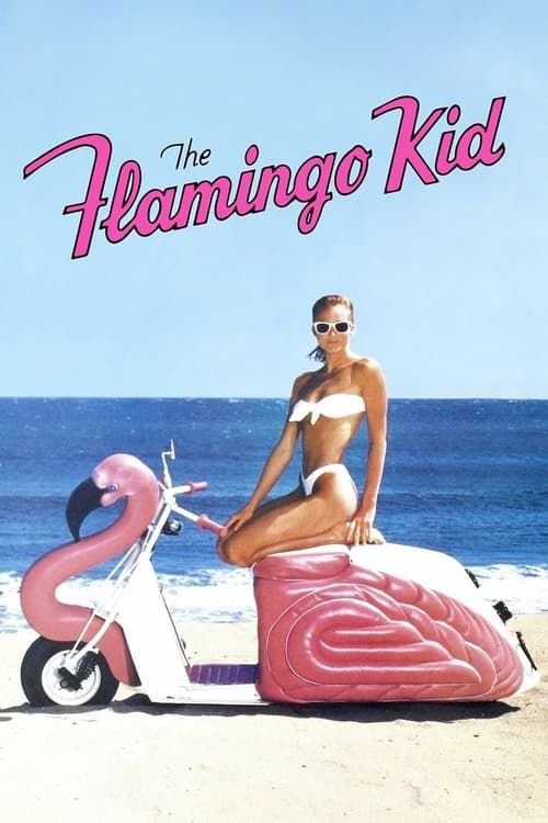 Key visual of The Flamingo Kid