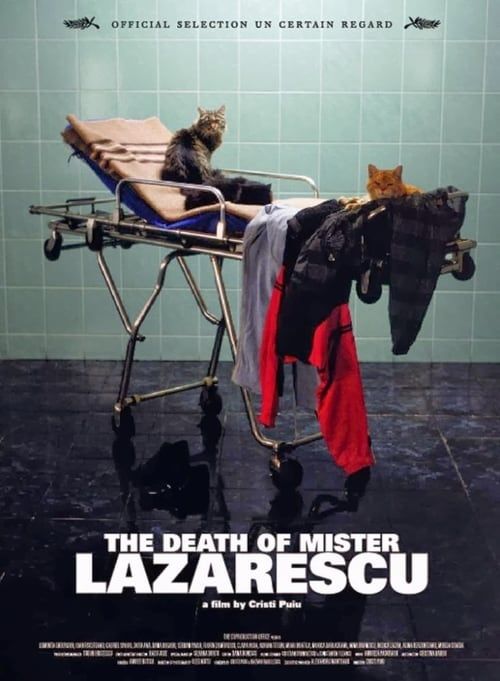 Key visual of The Death of Mr. Lazarescu
