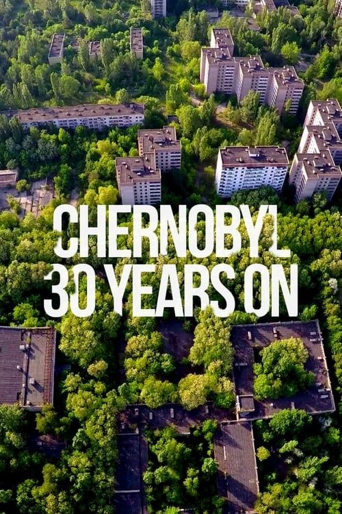 Key visual of Chernobyl 30 Years On: Nuclear Heritage