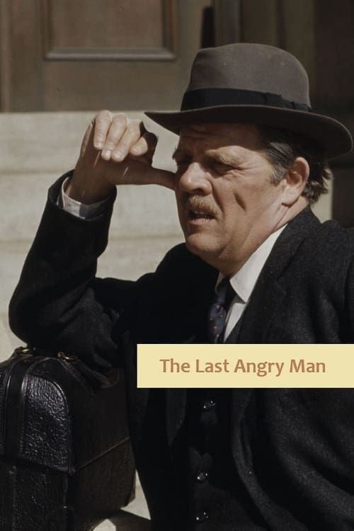 Key visual of The Last Angry Man