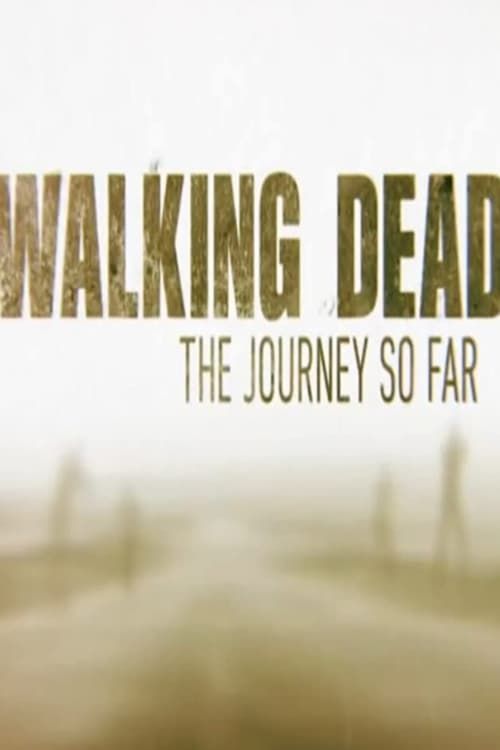 Key visual of The Walking Dead: The Journey So Far