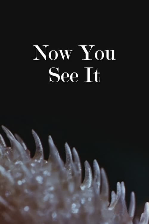 Key visual of Now You See It