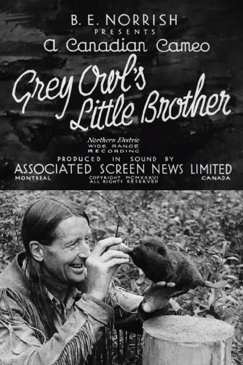 Key visual of Grey Owl's Little Brother