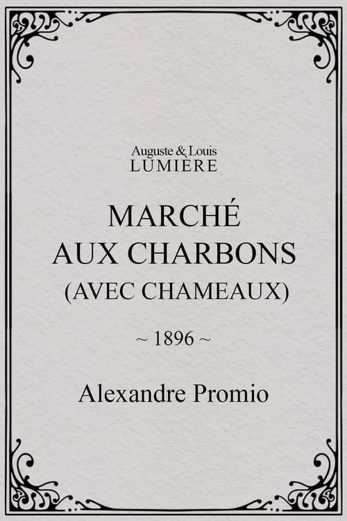 Key visual of Marché aux charbons (avec chameaux)