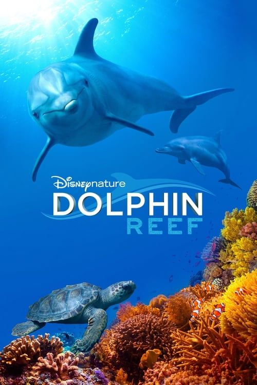 Key visual of Dolphin Reef