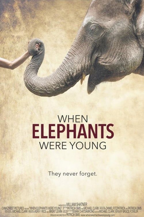 Key visual of When Elephants Were Young