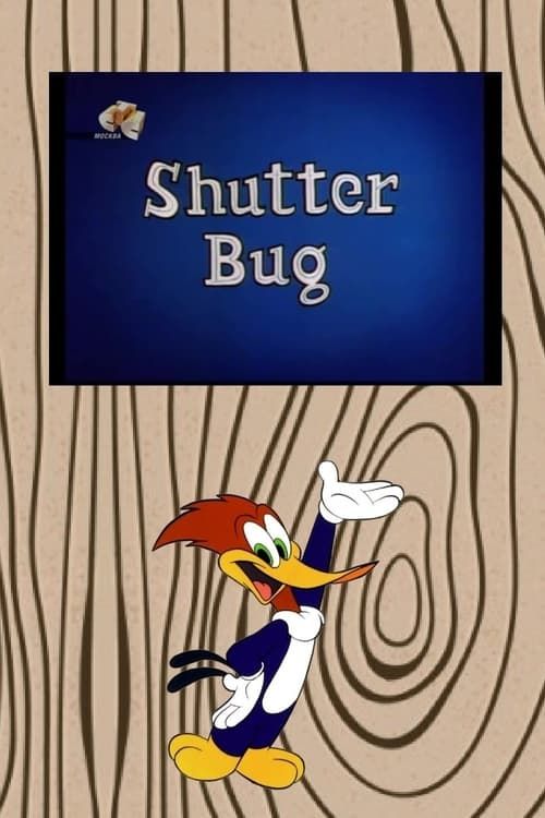 Key visual of Shutter Bug