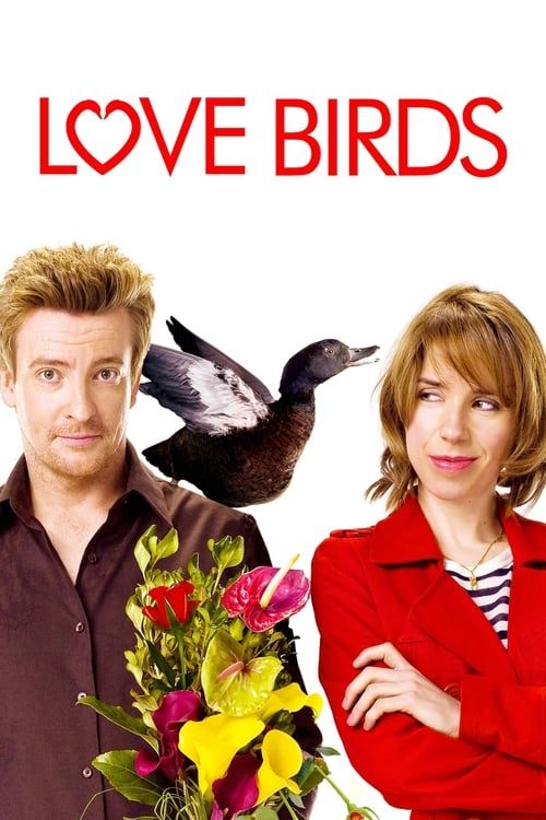 Key visual of Love Birds