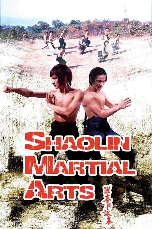 Key visual of Shaolin Martial Arts