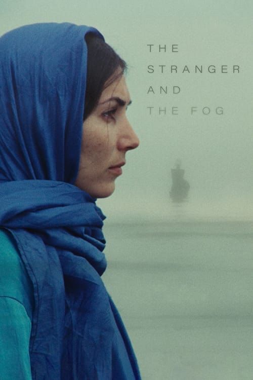 Key visual of The Stranger and the Fog