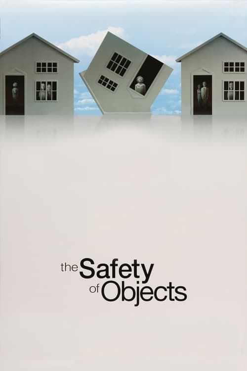 Key visual of The Safety of Objects
