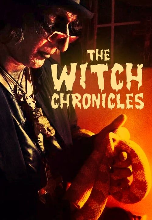 Key visual of The Witch Chronicles