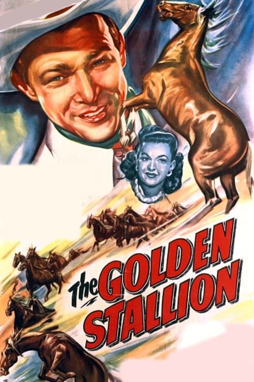 Key visual of The Golden Stallion