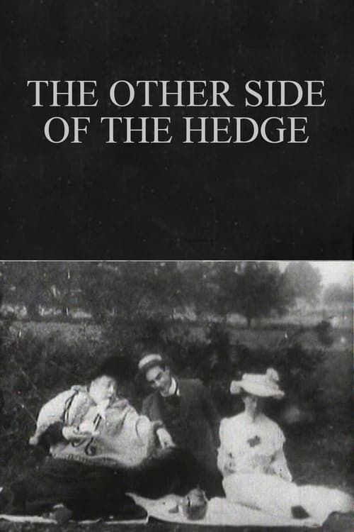 Key visual of The Other Side of the Hedge