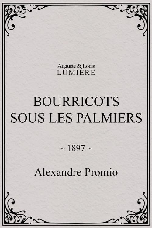 Key visual of Bourricots sous les palmiers
