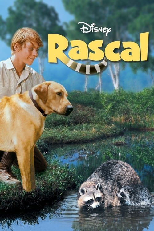 Key visual of Rascal