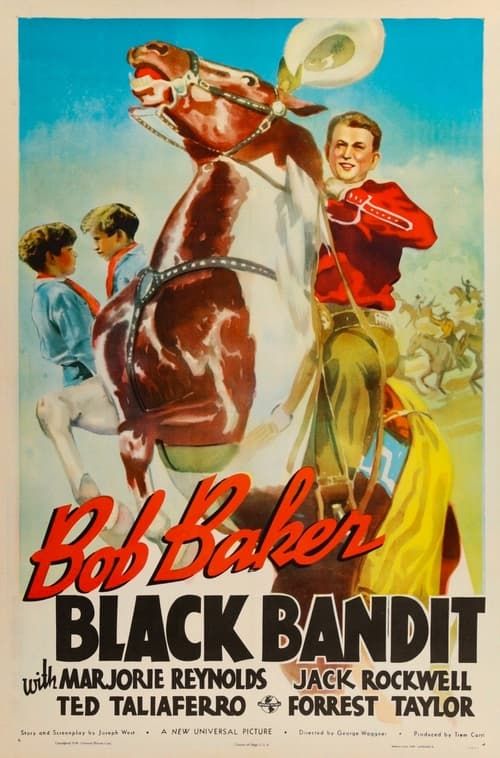 Key visual of Black Bandit