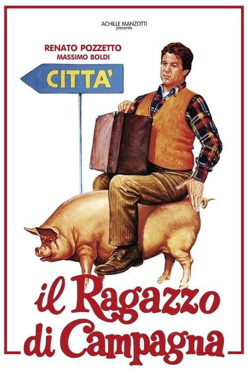 Key visual of Il ragazzo di campagna