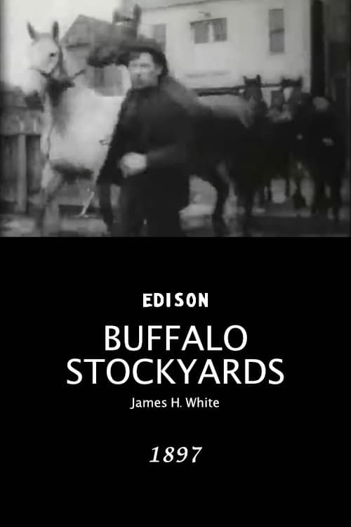 Key visual of Buffalo Stockyards