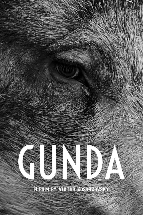 Key visual of Gunda