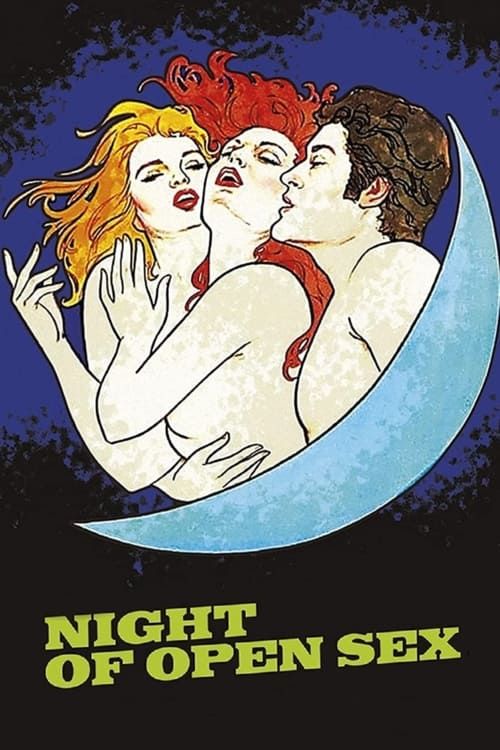 Key visual of The Night Of Open Sex