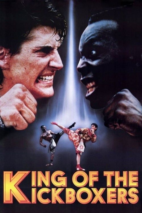 Key visual of The King of the Kickboxers